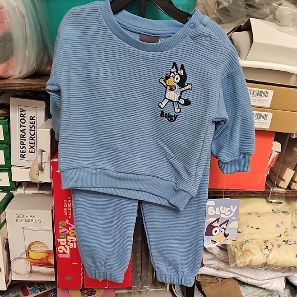 Other - Nqt Bluey Blue Toddler Sweatshirt and Pants Set